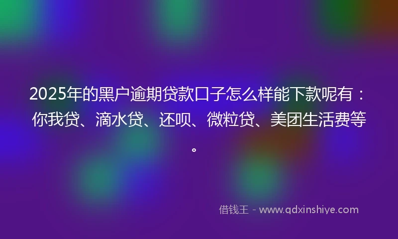 2025年的黑户逾期贷款口子怎么样能下款呢有：你我贷、滴水贷、还呗、微粒贷、美团生活费等。