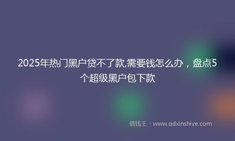 2025年热门黑户贷不了款,需要钱怎么办，盘点5个超级黑户包下款