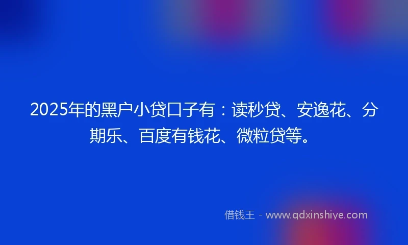 2025年的黑户小贷口子有：读秒贷、安逸花、分期乐、百度有钱花、微粒贷等。