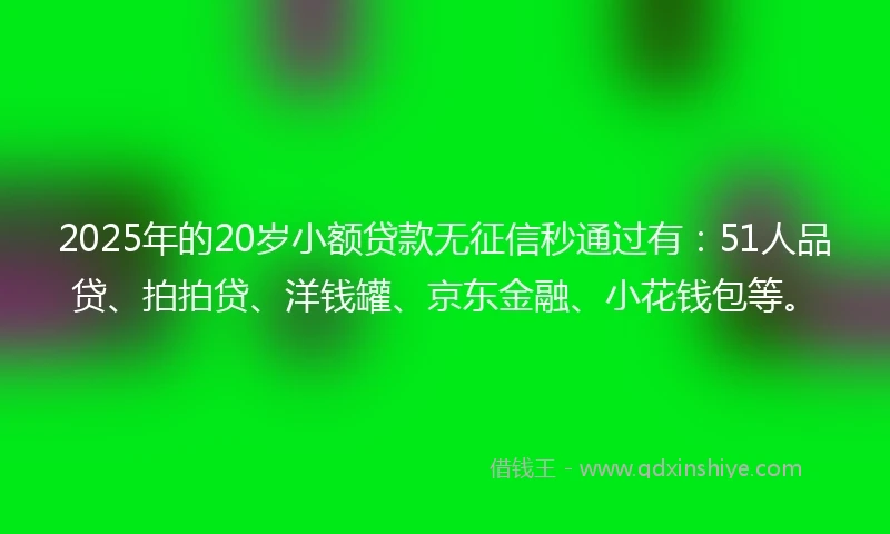 2025年的20岁小额贷款无征信秒通过有：51人品贷、拍拍贷、洋钱罐、京东金融、小花钱包等。