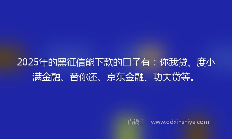 2025年的黑征信能下款的口子有：你我贷、度小满金融、替你还、京东金融、功夫贷等。
