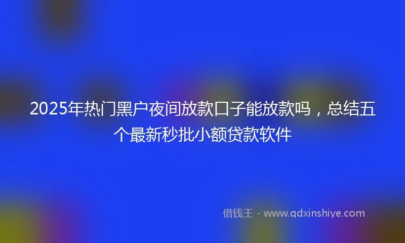 2025年热门黑户夜间放款口子能放款吗，总结五个最新秒批小额贷款软件