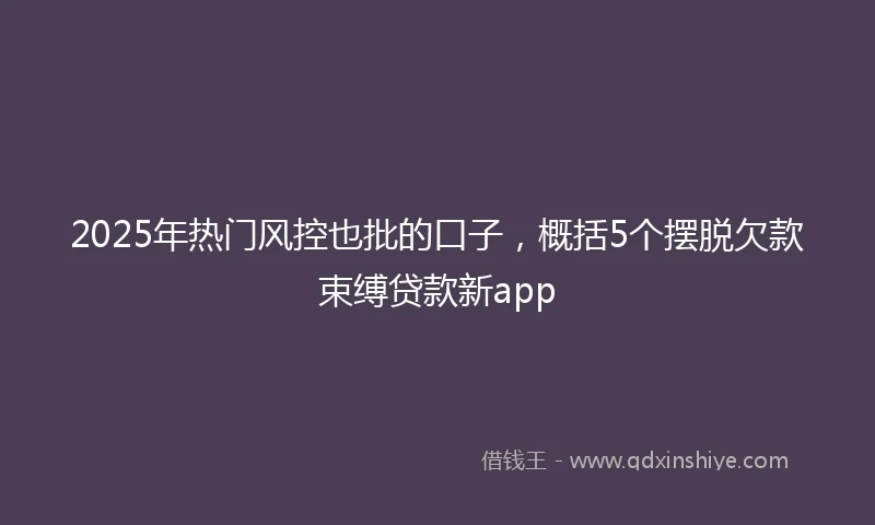 2025年热门风控也批的口子，概括5个摆脱欠款束缚贷款新app