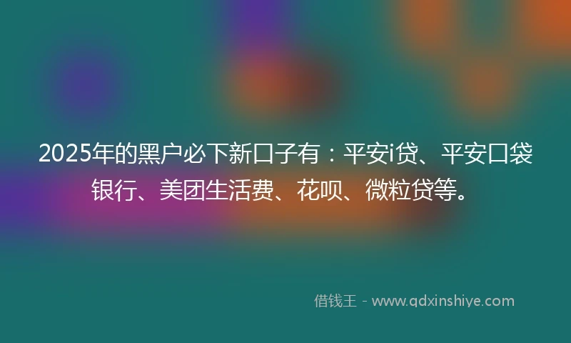 2025年的黑户必下新口子有：平安i贷、平安口袋银行、美团生活费、花呗、微粒贷等。