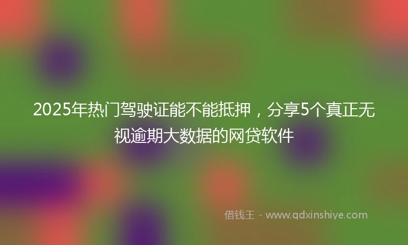 2025年热门驾驶证能不能抵押，分享5个真正无视逾期大数据的网贷软件