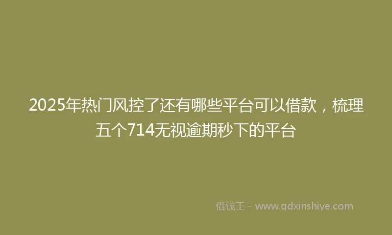 2025年热门风控了还有哪些平台可以借款，梳理五个714无视逾期秒下的平台