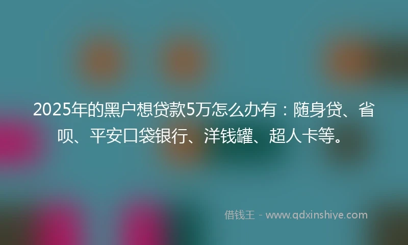 2025年的黑户想贷款5万怎么办有：随身贷、省呗、平安口袋银行、洋钱罐、超人卡等。