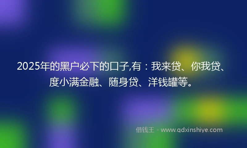 2025年的黑户必下的口子,有：我来贷、你我贷、度小满金融、随身贷、洋钱罐等。