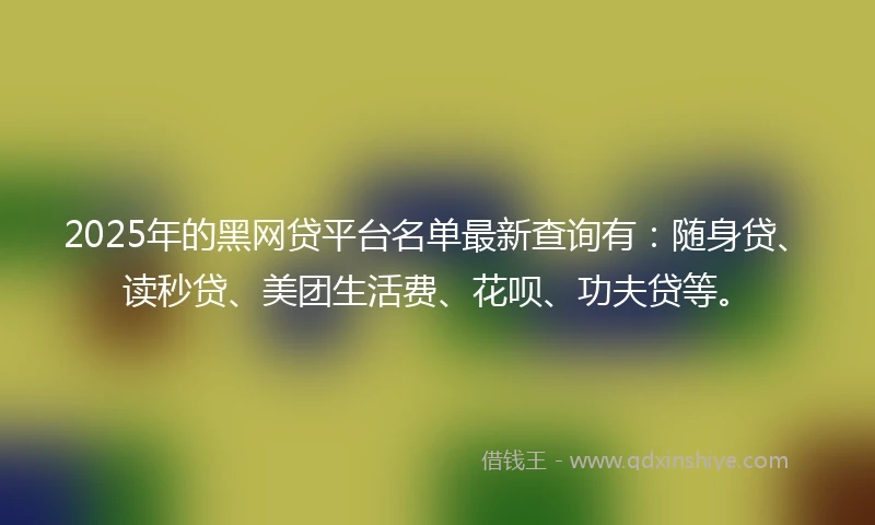 2025年的黑网贷平台名单最新查询有：随身贷、读秒贷、美团生活费、花呗、功夫贷等。