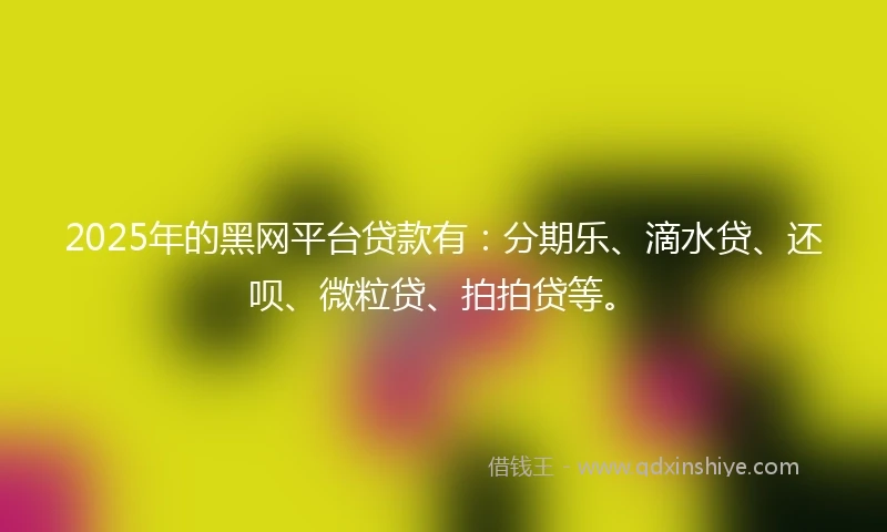 2025年的黑网平台贷款有：分期乐、滴水贷、还呗、微粒贷、拍拍贷等。