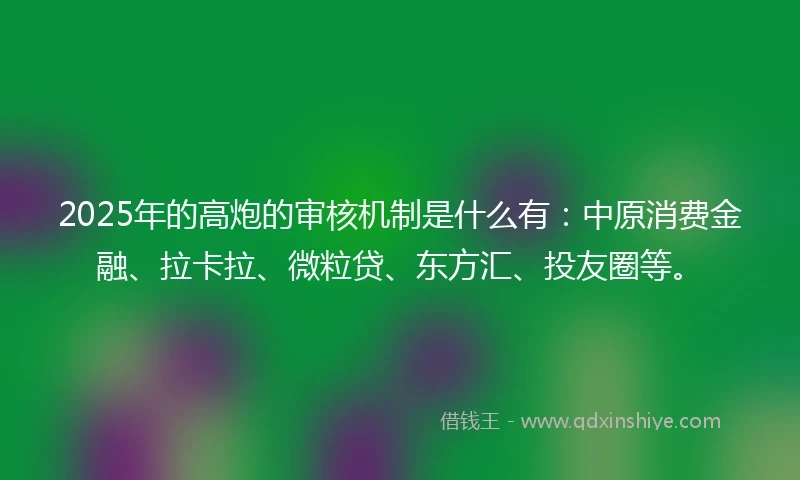 2025年的高炮的审核机制是什么有：中原消费金融、拉卡拉、微粒贷、东方汇、投友圈等。