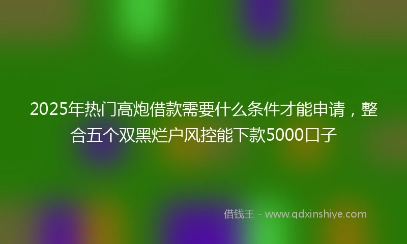 2025年热门高炮借款需要什么条件才能申请，整合五个双黑烂户风控能下款5000口子