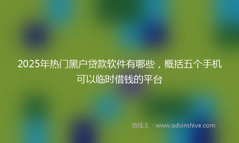2025年热门黑户贷款软件有哪些，概括五个手机可以临时借钱的平台