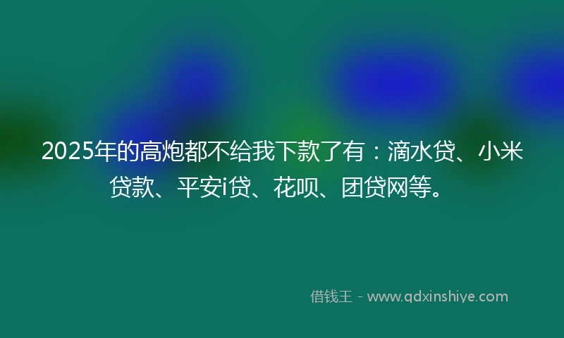 2025年的高炮都不给我下款了有：滴水贷、小米贷款、平安i贷、花呗、团贷网等。