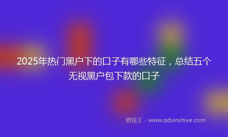 2025年热门黑户下的口子有哪些特征，总结五个无视黑户包下款的口子