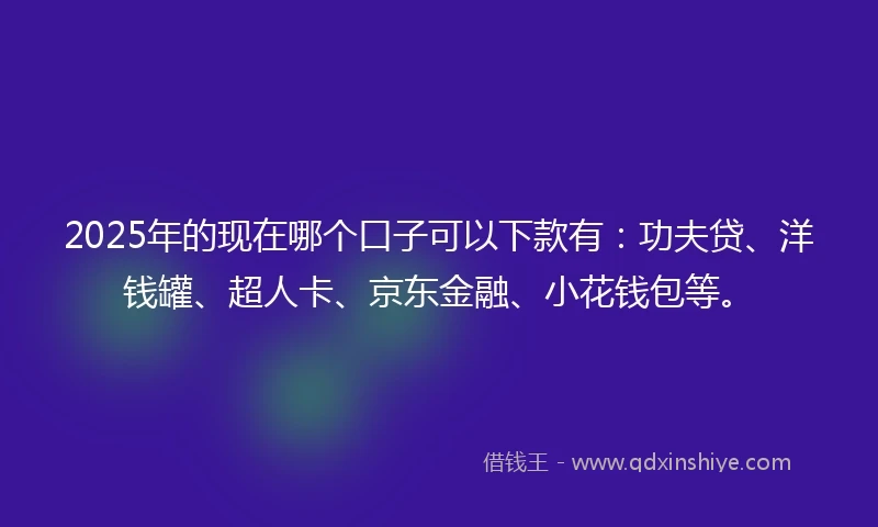 2025年的现在哪个口子可以下款有：功夫贷、洋钱罐、超人卡、京东金融、小花钱包等。