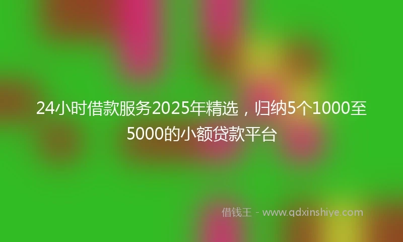 24小时借款服务2025年精选，归纳5个1000至5000的小额贷款平台