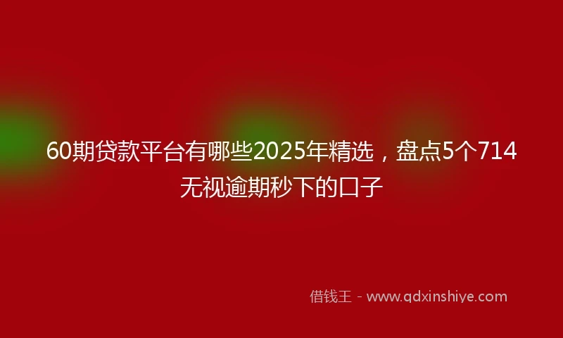 60期贷款平台有哪些2025年精选，盘点5个714无视逾期秒下的口子