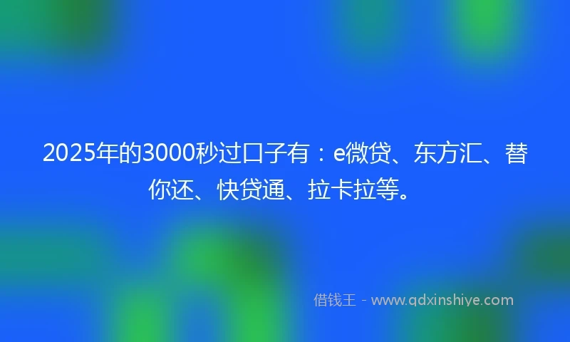 2025年的3000秒过口子有：e微贷、东方汇、替你还、快贷通、拉卡拉等。