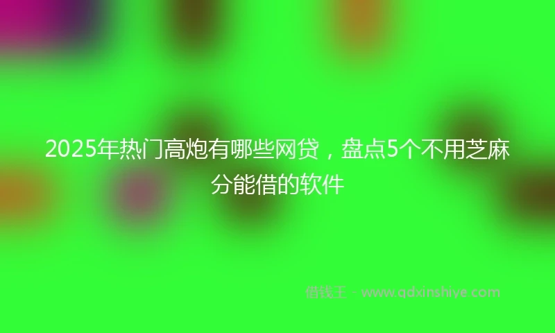 2025年热门高炮有哪些网贷，盘点5个不用芝麻分能借的软件