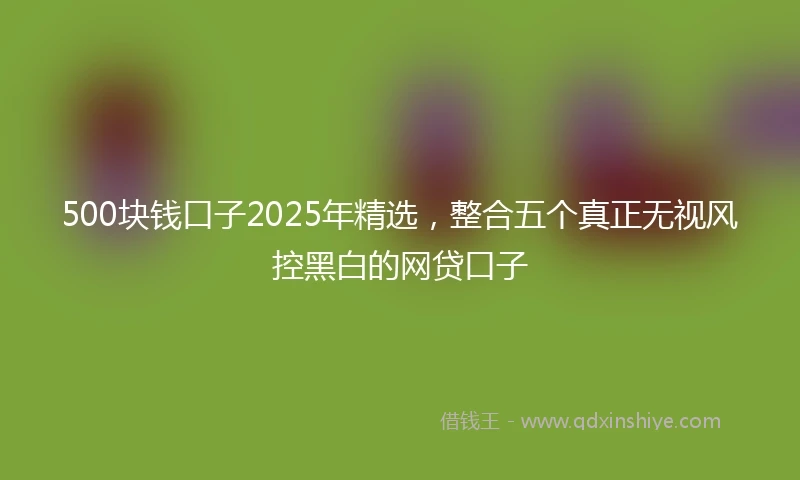 500块钱口子2025年精选，整合五个真正无视风控黑白的网贷口子
