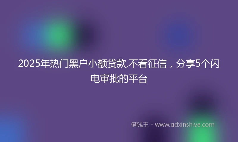 2025年热门黑户小额贷款,不看征信，分享5个闪电审批的平台