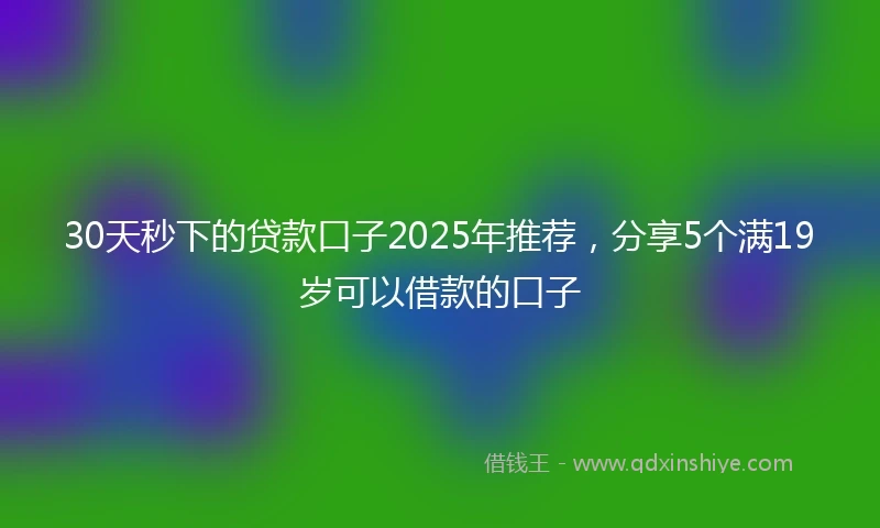 30天秒下的贷款口子2025年推荐，分享5个满19岁可以借款的口子
