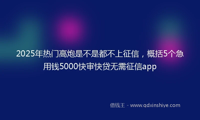 2025年热门高炮是不是都不上征信，概括5个急用钱5000快审快贷无需征信app