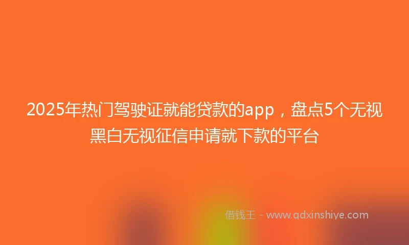 2025年热门驾驶证就能贷款的app，盘点5个无视黑白无视征信申请就下款的平台