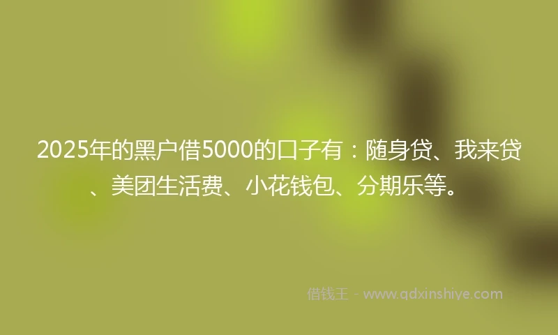 2025年的黑户借5000的口子有：随身贷、我来贷、美团生活费、小花钱包、分期乐等。