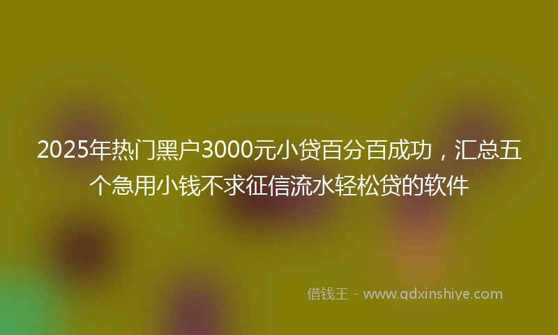 2025年热门黑户3000元小贷百分百成功，汇总五个急用小钱不求征信流水轻松贷的软件