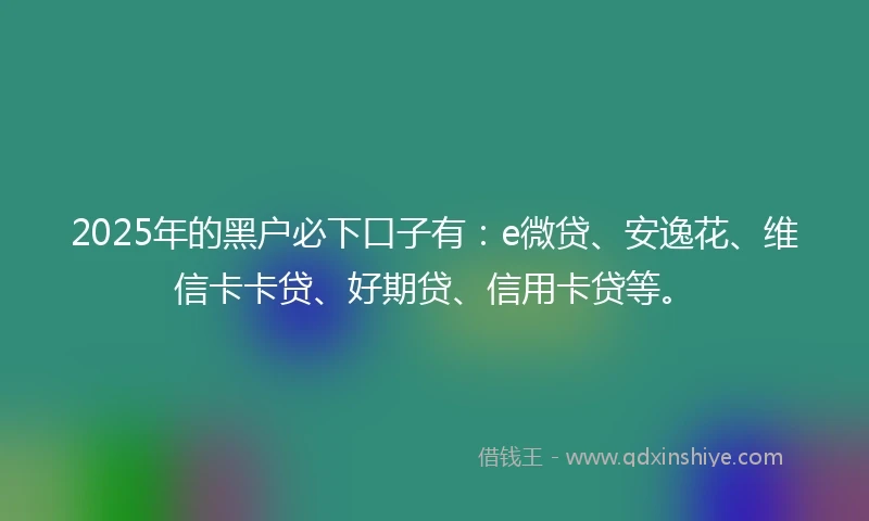 2025年的黑户必下口子有：e微贷、安逸花、维信卡卡贷、好期贷、信用卡贷等。