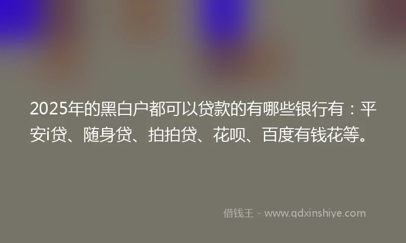 2025年的黑白户都可以贷款的有哪些银行有：平安i贷、随身贷、拍拍贷、花呗、百度有钱花等。