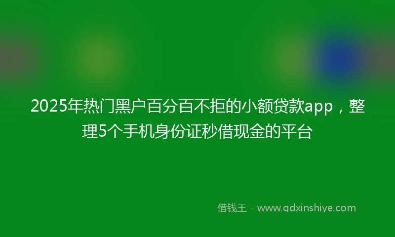 2025年热门黑户百分百不拒的小额贷款app，整理5个手机身份证秒借现金的平台