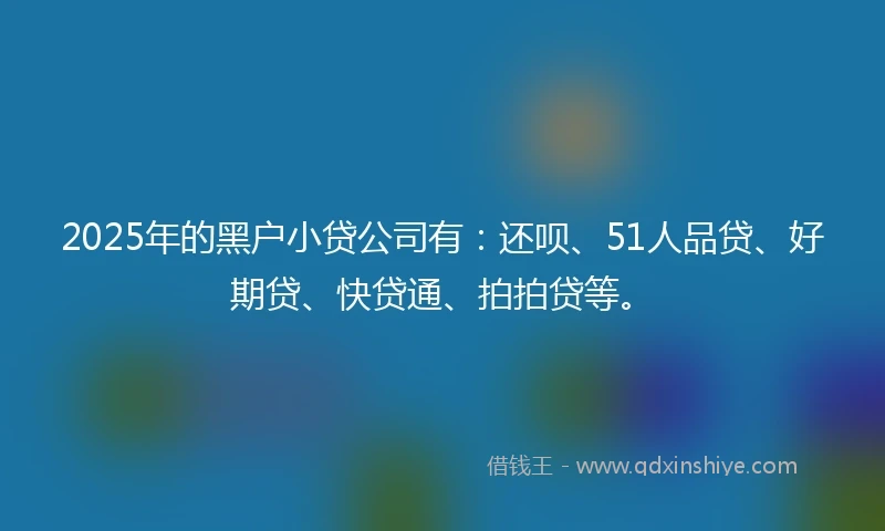 2025年的黑户小贷公司有：还呗、51人品贷、好期贷、快贷通、拍拍贷等。