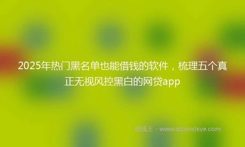 2025年热门黑名单也能借钱的软件，梳理五个真正无视风控黑白的网贷app