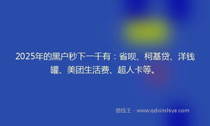 2025年的黑户秒下一千有：省呗、柯基贷、洋钱罐、美团生活费、超人卡等。