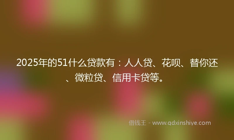 2025年的51什么贷款有：人人贷、花呗、替你还、微粒贷、信用卡贷等。