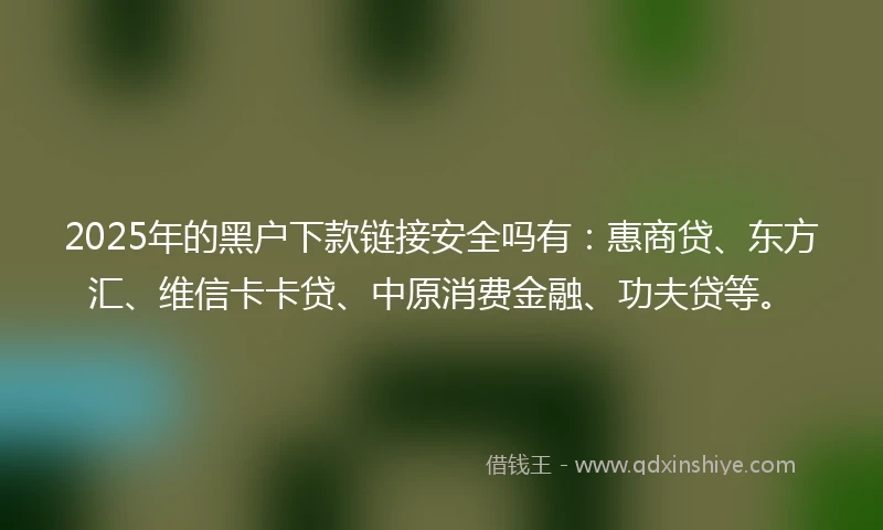 2025年的黑户下款链接安全吗有：惠商贷、东方汇、维信卡卡贷、中原消费金融、功夫贷等。