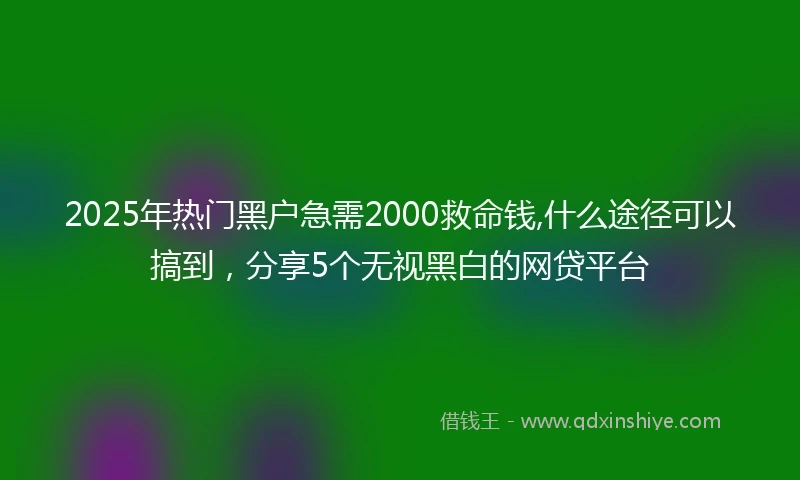 2025年热门黑户急需2000救命钱,什么途径可以搞到，分享5个无视黑白的网贷平台