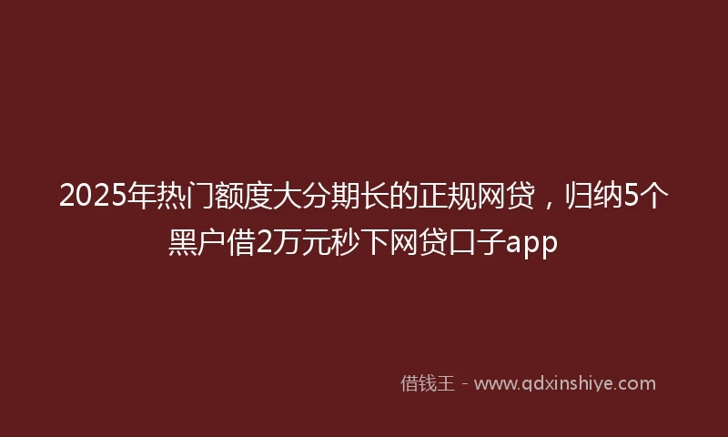 2025年热门额度大分期长的正规网贷，归纳5个黑户借2万元秒下网贷口子app
