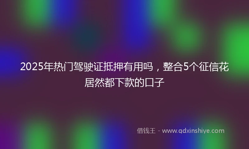 2025年热门驾驶证抵押有用吗，整合5个征信花居然都下款的口子