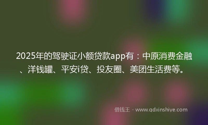 2025年的驾驶证小额贷款app有：中原消费金融、洋钱罐、平安i贷、投友圈、美团生活费等。