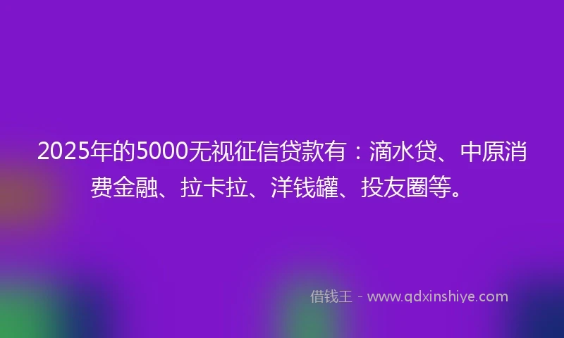 2025年的5000无视征信贷款有：滴水贷、中原消费金融、拉卡拉、洋钱罐、投友圈等。
