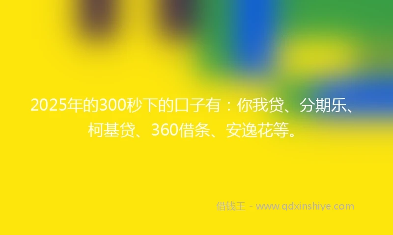2025年的300秒下的口子有：你我贷、分期乐、柯基贷、360借条、安逸花等。