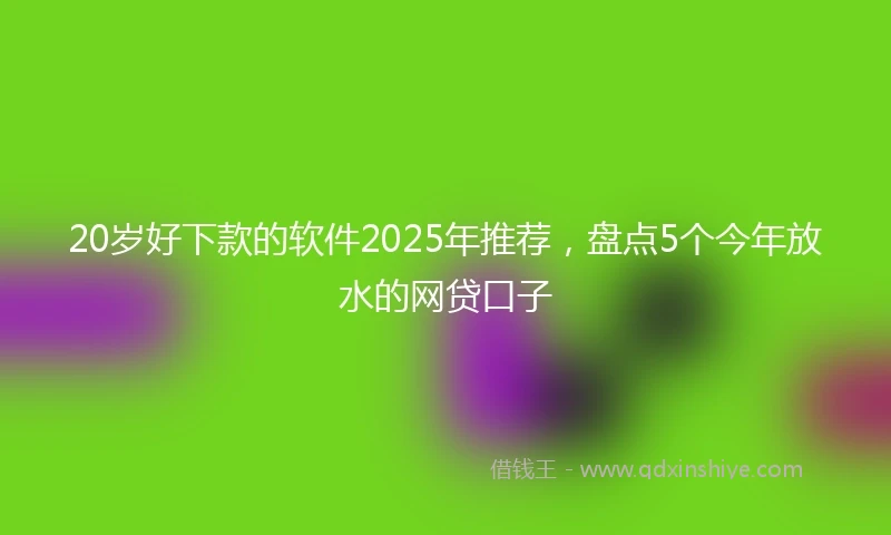 20岁好下款的软件2025年推荐，盘点5个今年放水的网贷口子