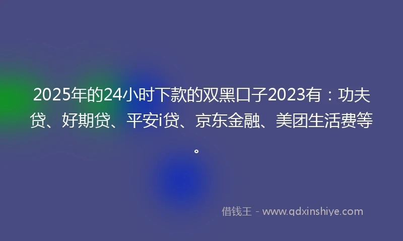 2025年的24小时下款的双黑口子2023有：功夫贷、好期贷、平安i贷、京东金融、美团生活费等。