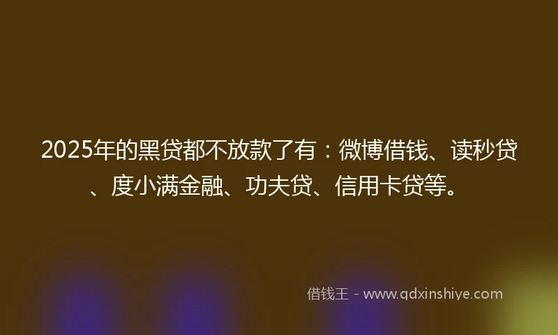 2025年的黑贷都不放款了有：微博借钱、读秒贷、度小满金融、功夫贷、信用卡贷等。