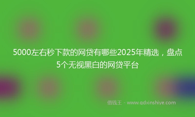 5000左右秒下款的网贷有哪些2025年精选，盘点5个无视黑白的网贷平台