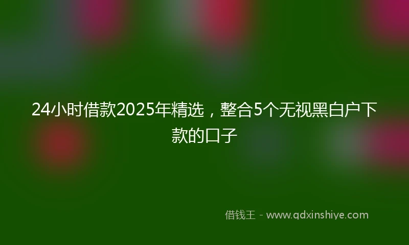 24小时借款2025年精选，整合5个无视黑白户下款的口子